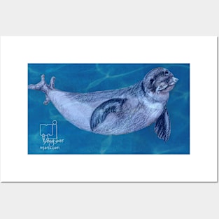 harp seal Posters and Art